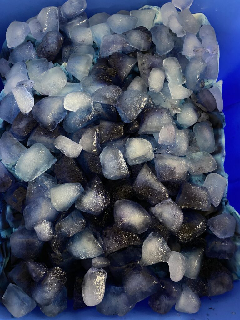 How to ice dye